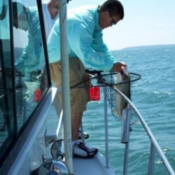 man pulling fish from net