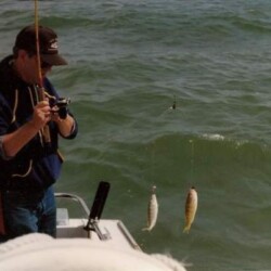 man catching fish