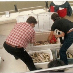 fish in cooler