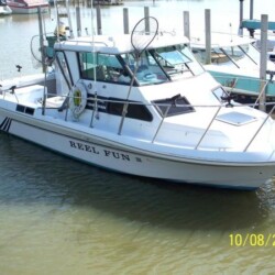 charter boat