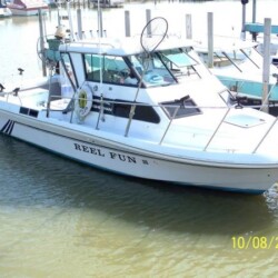 White fishing charter boat named “Reel Fun” docked at a marina,