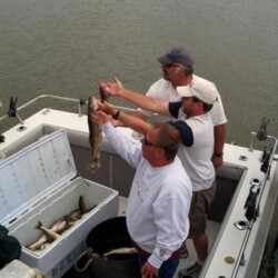 fish catch in cooler